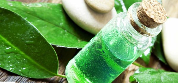 Tea Tree Oil for Skin