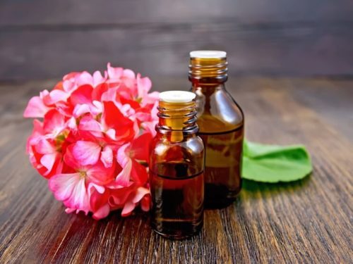 Geranium Oil for Skin