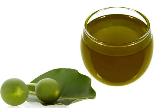 Tamanu Oil for Skin